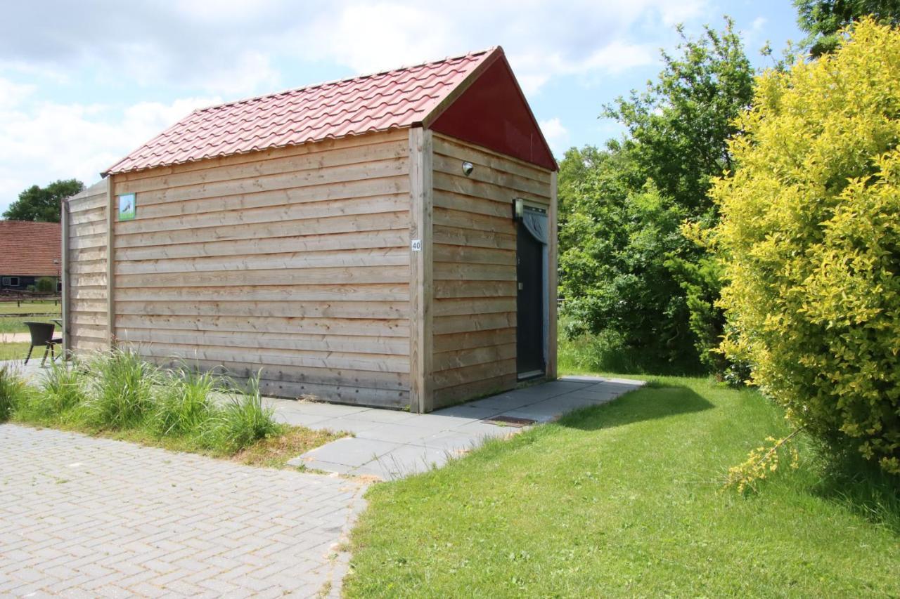 Tiny Cottage Op Camping "De Stal" Drijber Dış mekan fotoğraf